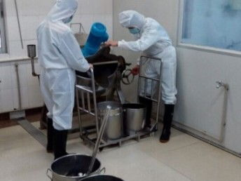 广州食品生产工厂整体转让 优质商铺与成熟运营的绝佳机遇